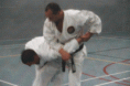 /album/photogallery/a20-gif/